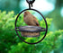 Zazu Black Steel Bird Feeder with Clear Bowl